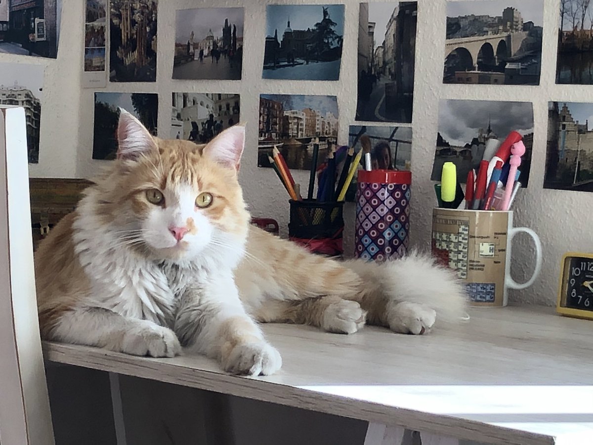 Benito cumple dos años 🎂🎈🥳