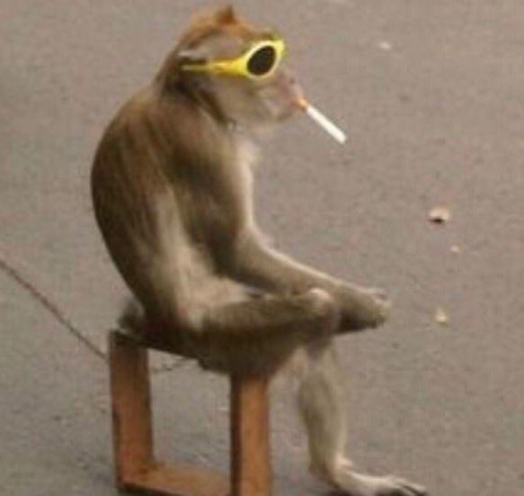 sza and justin bieber really did that