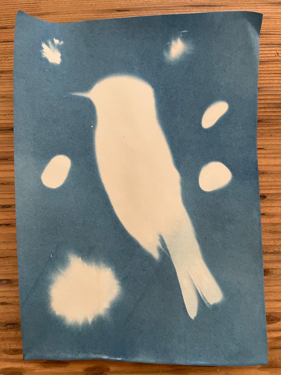 jessica snail tweet media