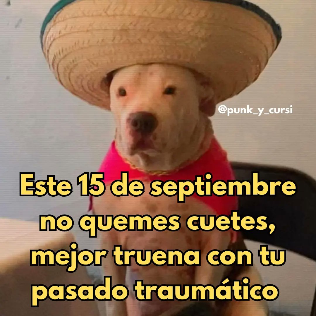 punk_y_cursi's tweet photo. 🧨 https://t.co/rxsGxgdsb3