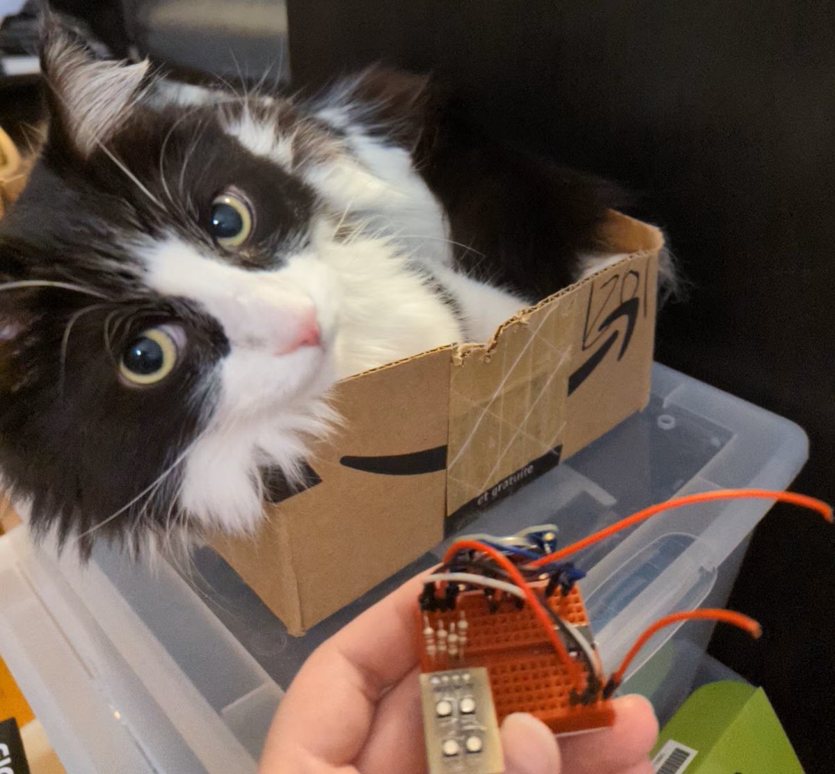 TarableI's tweet photo. I kept it on my nightstand to see if it would last the whole night.
Unfortunately, my cat loves trying to wake me up by getting into trouble and the positive wire suffered her wrath.

It was lit for at least 5 or 6 hours, which makes sense considering the earlier measurements. https://t.co/GEkSUWSXQS