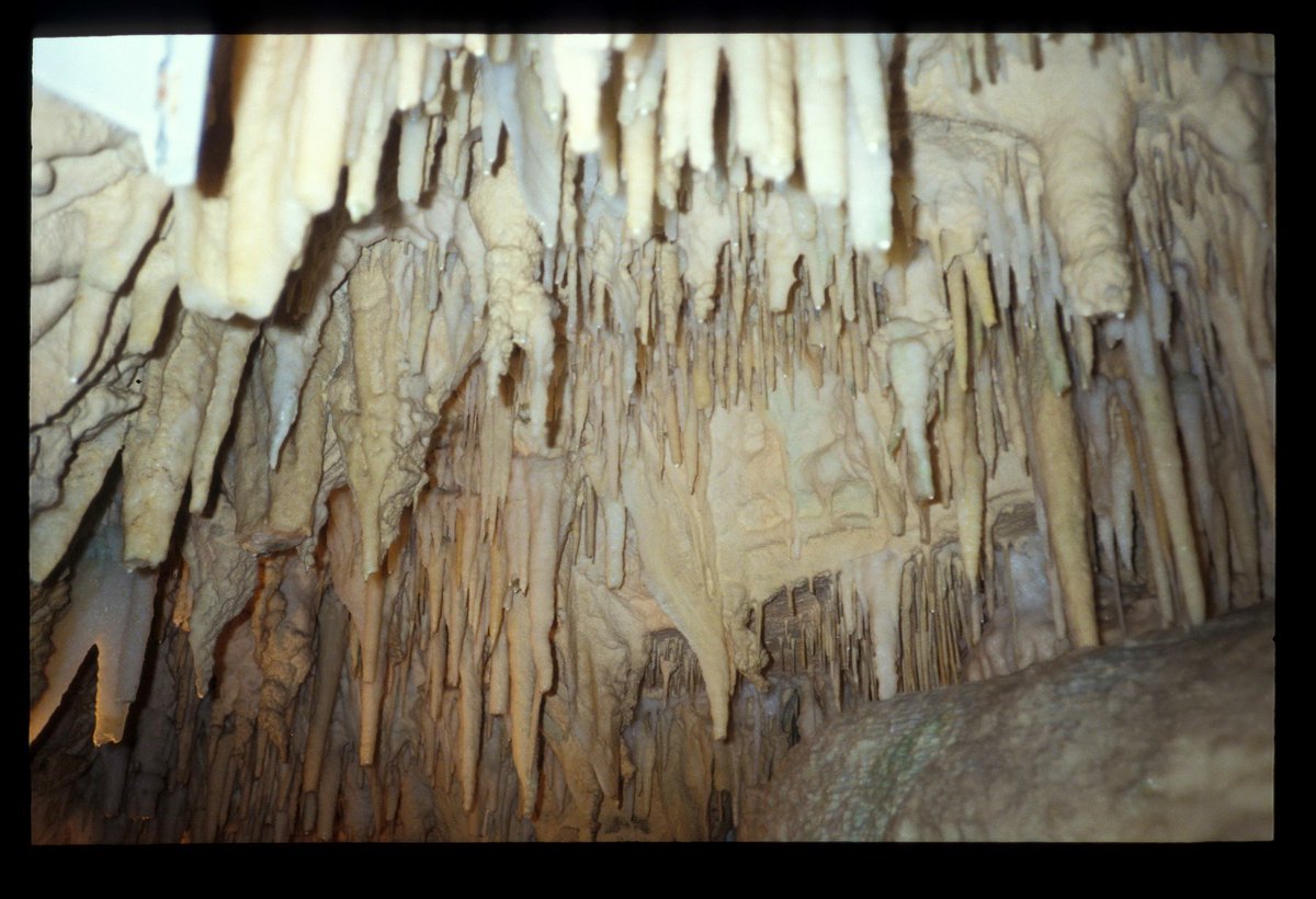 JacoBloek's tweet photo. Vor 30 Jahren in Neuseeland: zurück auf die Nordinsel! Schönes viktorianisches B&B in Wellington, unterwegs nach Auckland dann noch die Waitomo Caves besucht. #Flashback1993 #NewZealand https://t.co/slrEZggHDt