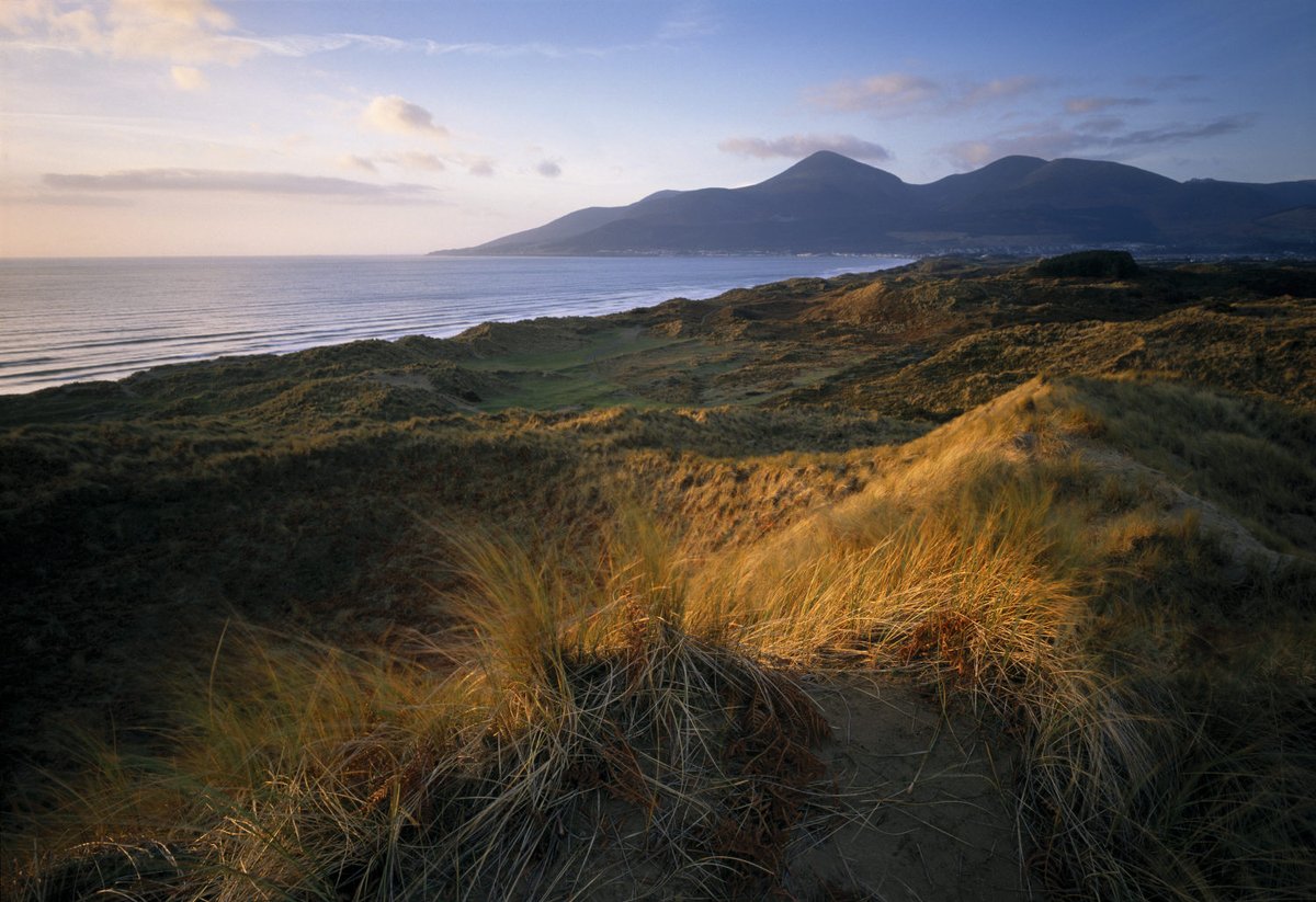 National Trust NI (@nationaltrustni) on Twitter photo It's the #LateLateShow from Dundrum.
Good luck <a href="/PatricKielty/">Patrick Kielty</a>
📸 Murlough National Nature Reserve
National Trust Images/Joe Cornish It's the #LateLateShow from Dundrum.
Good luck <a href="/PatricKielty/">Patrick Kielty</a>
📸 Murlough National Nature Reserve
National Trust Images/Joe Cornish