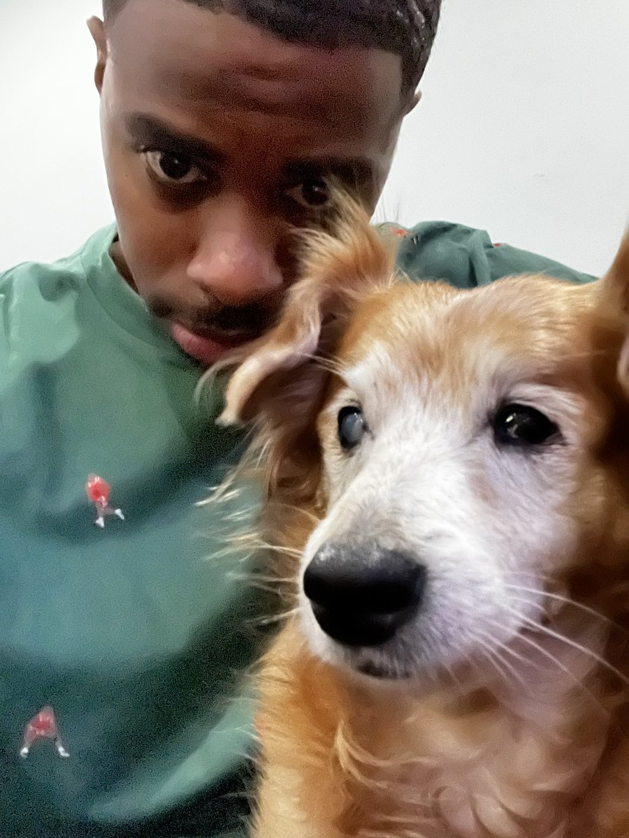 Brickelgreen's tweet photo. #ForAllTheDog https://t.co/yi8WGeo2sN