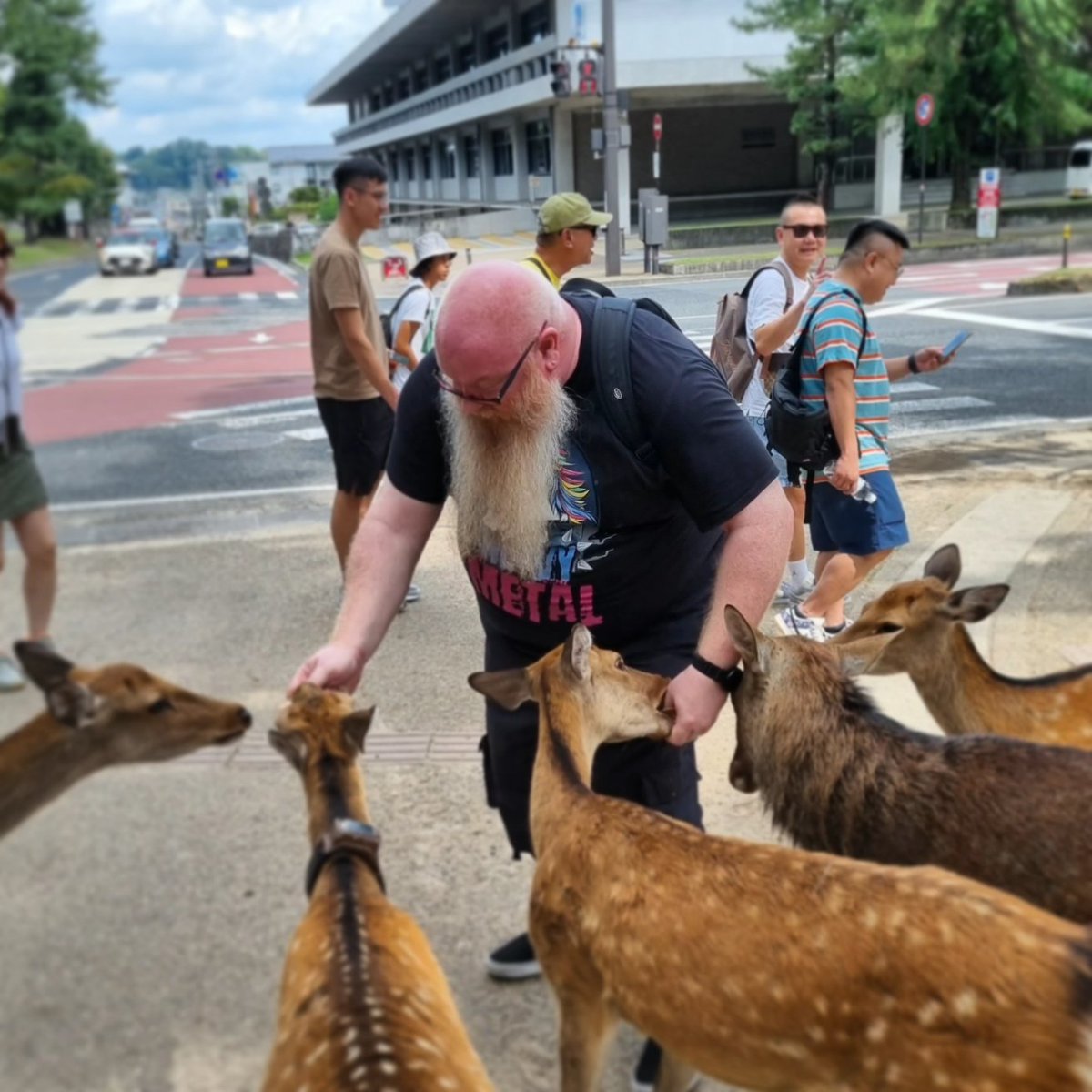 DerBlitz's tweet image. wurde in #Nara von "wilden" Tieren angefallen, hat (nur) gehört, wie der Reiskuchen namens Mochi "verprügelt" wurde uuund &amp;lt;tieflufthol&amp;gt; konnte keine Erleuchtung fürs nächste Leben erlangen, weil er nicht durch das Nasenloch eines Buddhas passte?! 🤷‍♂️ #DerBlitzunterwegs #Japan
