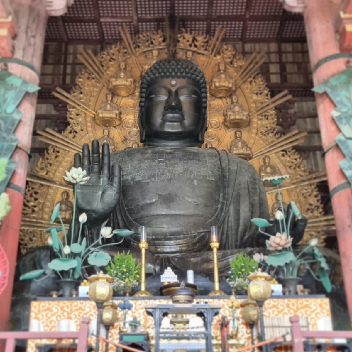 DerBlitz's tweet image. wurde in #Nara von "wilden" Tieren angefallen, hat (nur) gehört, wie der Reiskuchen namens Mochi "verprügelt" wurde uuund &amp;lt;tieflufthol&amp;gt; konnte keine Erleuchtung fürs nächste Leben erlangen, weil er nicht durch das Nasenloch eines Buddhas passte?! 🤷‍♂️ #DerBlitzunterwegs #Japan