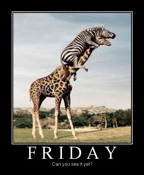 hashtagwarfreek's tweet photo. #ThisIsMy way on how to look for Friday https://t.co/ggmqHwN4IM