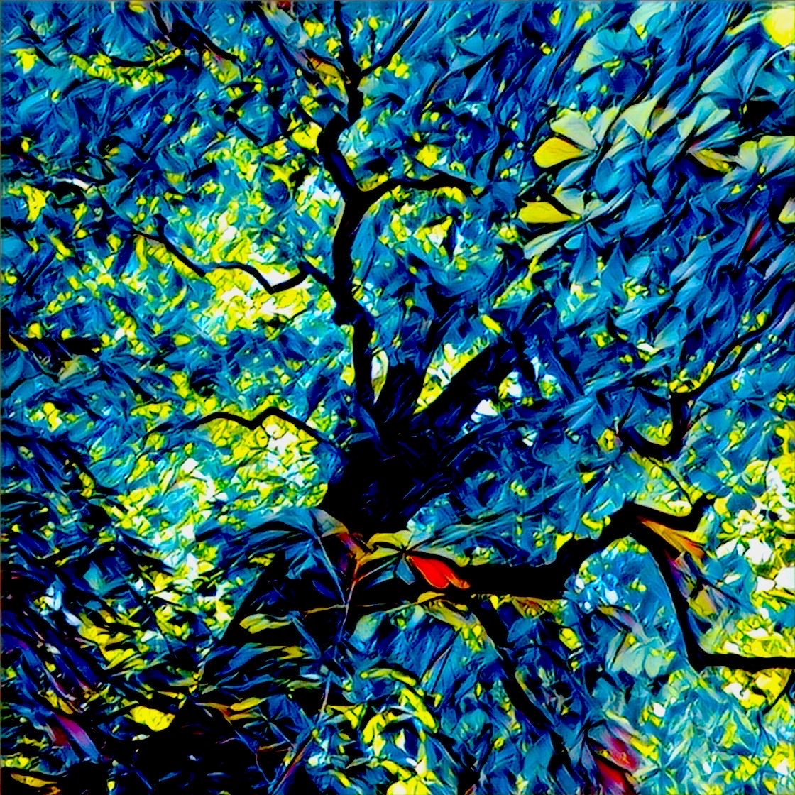 amokwriter's tweet photo. Rain magic ... (from: Alien Diaries)

#rainmagic #rain #magic #nature #spell #dance #biology #blue #yellow #friday #worldview #photography #digital #digitalart #ai #art #aiart #aiartcommunity #aiartoftheday #nft #nfts #nftart #nftartwork #nftcollector #blockchainart #cryptoart https://t.co/nHDROryG35