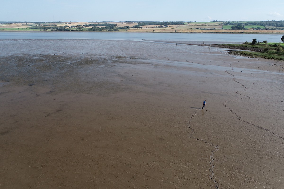 Mossy Earth tweet media