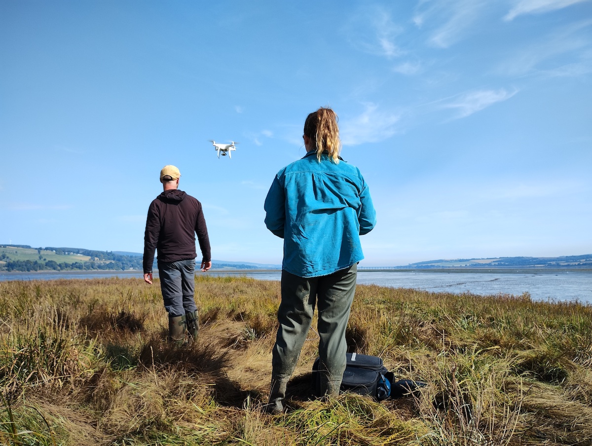 Mossy Earth tweet media