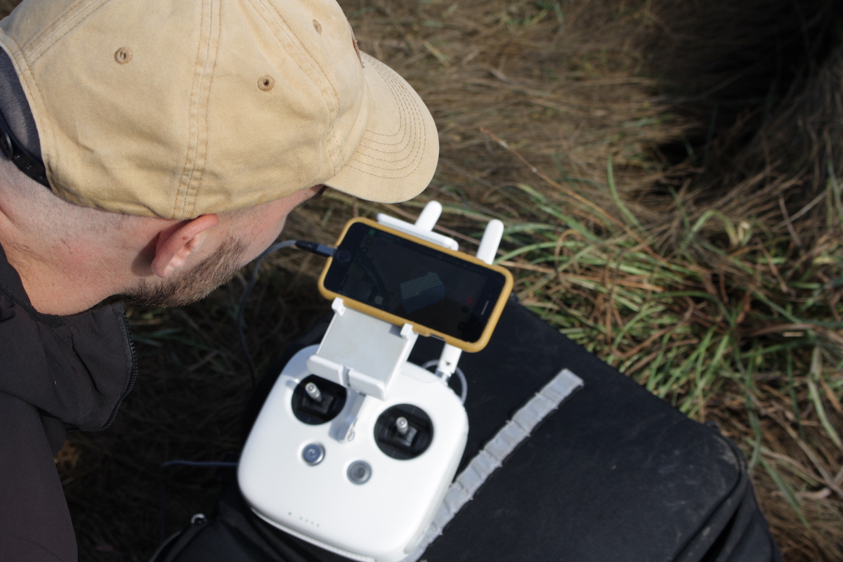 Mossy Earth tweet media