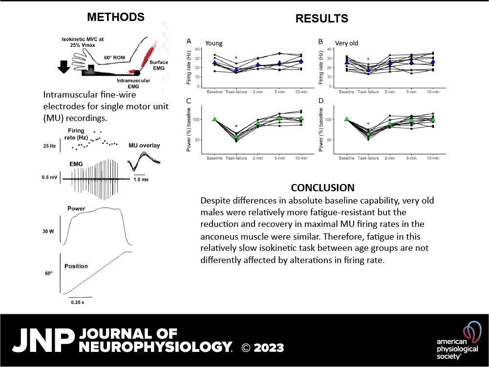 JNeurophysiol's tweet photo. 📢Many thanks to @Alex_M_Zero for providing audio for our latest podcast on "Motor unit firing rates in young and very old adult males during an isokinetic fatiguing task and short-term recovery in the anconeus muscle."

🎧https://t.co/U2C8oqGbVd

#aging #concentric #fatigability https://t.co/fhkujVdqOt