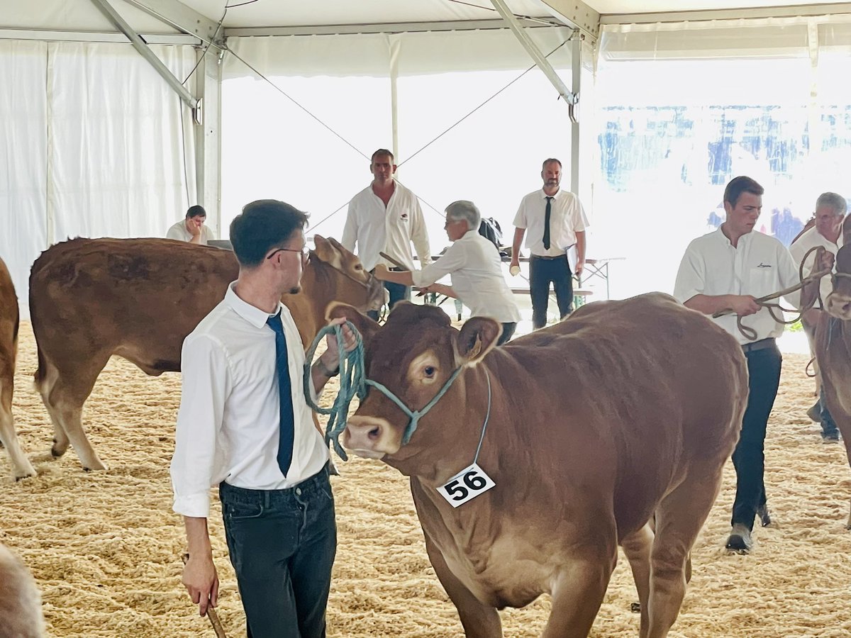 C_MORANCAIS's tweet photo. Inauguration de la Foire Agricole du Mans, la plus grande foire après le salon de l'Agriculture ! L’occasion de réaffirmer le soutien de la Région à tous nos agriculteurs. https://t.co/h8hLbh8lwA