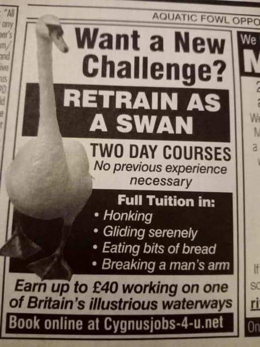 Darth_Pingu's tweet photo. #ThisIsMy new calling https://t.co/tQEgaOtS91