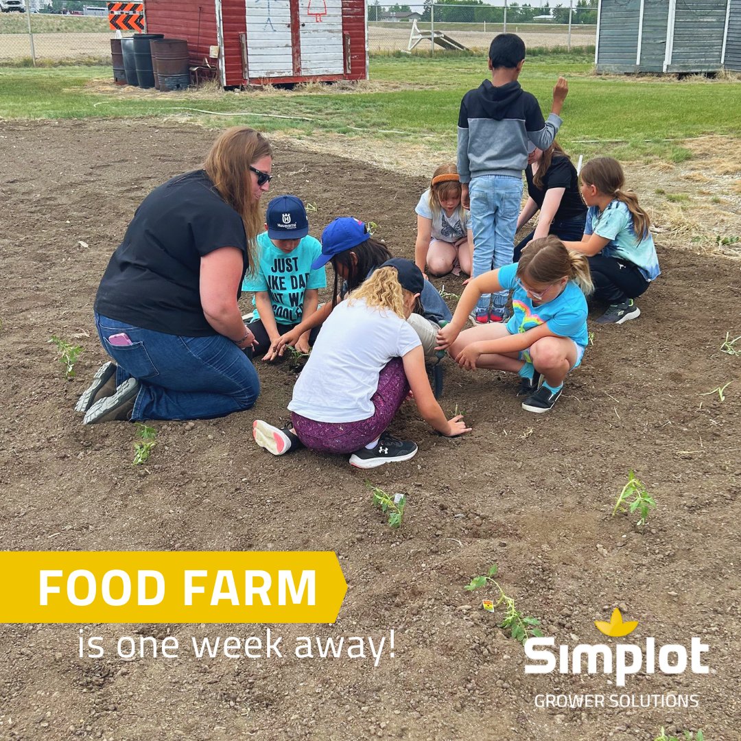 It's once again time for the Fall Food Farm! 

Come join us and some local students for a day of learning and lunch at the Kindersley District Plains Museum on Friday, September 22 from 9:30 am to 1:00 pm.