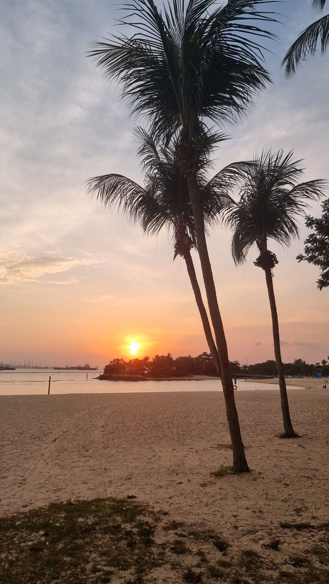 Eg0Alex's tweet photo. Just one Friday in #Singapore:
1) Meeting with friends
2)#StablecoinSummit
3)#web3connect
4)swimming on #palawan #sentoza
5) feeding a rhino #nightsafari https://t.co/kYtUAqJcVV