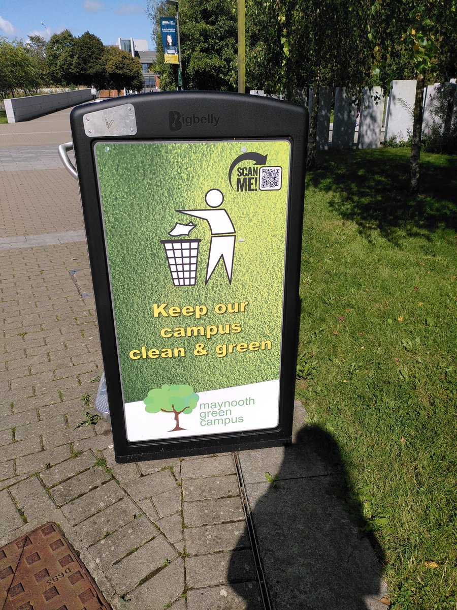 Tara Dirilgen tweet media