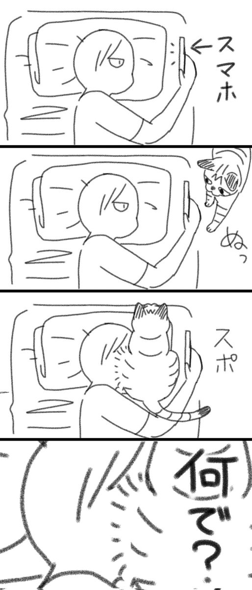 猫わからない