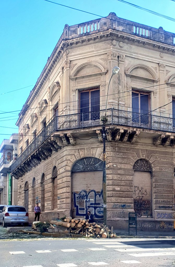 gloriatorras's tweet photo. Todo bien felices con cableado subterráneo!!
 pero qué culpa tiene este hermoso árbol de Mcal. Estigartibia y Caballero!! Ayer hicieron leña de él sin ninguna alternativa de conservación.  @mambiente_py no acompañan este trabajo?! muchos cascos para 10 neuronas...@ABCDigital https://t.co/9kbX3dUX2a