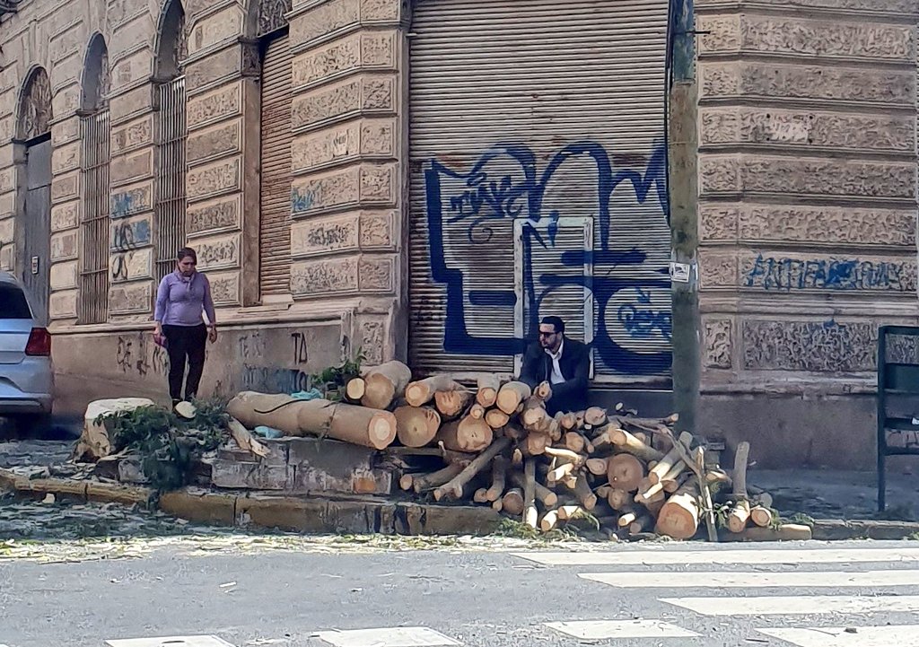 gloriatorras's tweet photo. Todo bien felices con cableado subterráneo!!
 pero qué culpa tiene este hermoso árbol de Mcal. Estigartibia y Caballero!! Ayer hicieron leña de él sin ninguna alternativa de conservación.  @mambiente_py no acompañan este trabajo?! muchos cascos para 10 neuronas...@ABCDigital https://t.co/9kbX3dUX2a