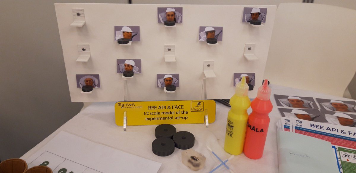 LyceeMonteil's tweet photo. Ultime étape ce vendredi pour EUCYS à Bruxelles : rencontre avec le public, dernier jury à concaincre, finir la récolte des stickers 😉, ranger le stand. A demain pour la remise des prix. @DAACToulouse @Sciences_Ecole https://t.co/MtLZVAd1cV