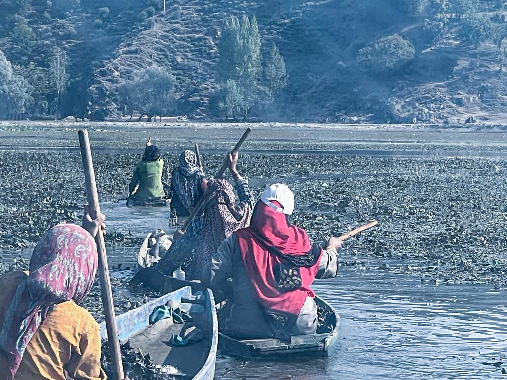 irfanifs's tweet photo. From casting lines to tackling chores, hardworking women don't stop! Whether it's fishing in the day or managing the household, their dedication shines through. #MultitaskingQueens https://t.co/mxrP45CRCh