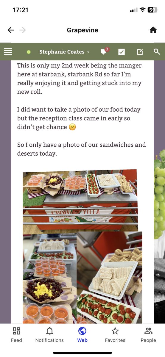 stephanie coates tweet media