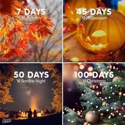 Your Christmas Countdown tweet media