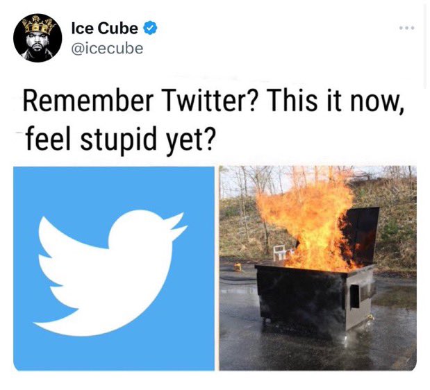 Hi Mr. Ice Cube, I’d like to apologize on behalf of my main account for the meme I posted about you yesterday. I thought it was funny, but seems like you didn’t like it. I’ve asked my staff to put you back in the freezer so you can return to your original “ice cube” form.