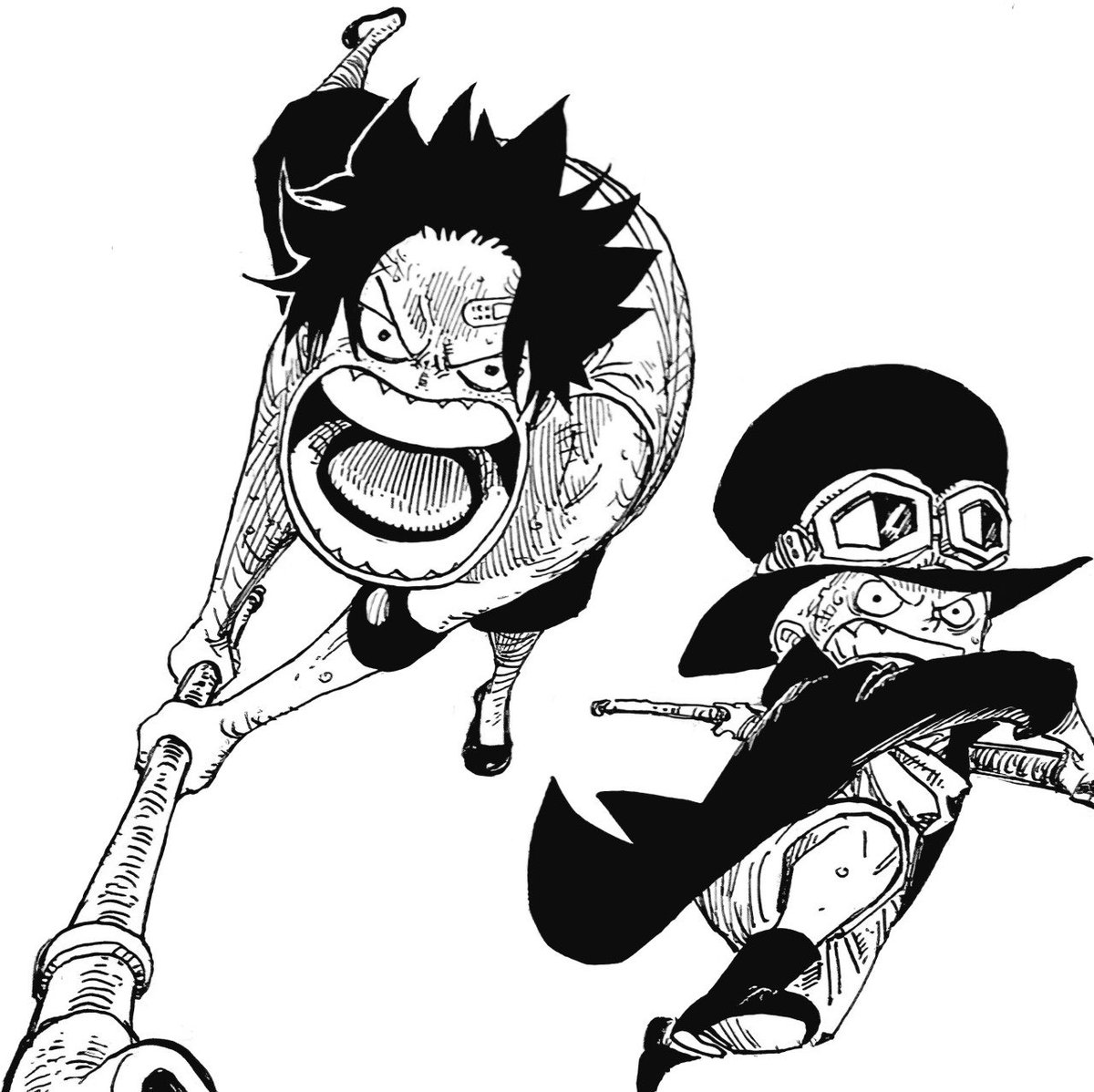 onepiecepanel tweet picture