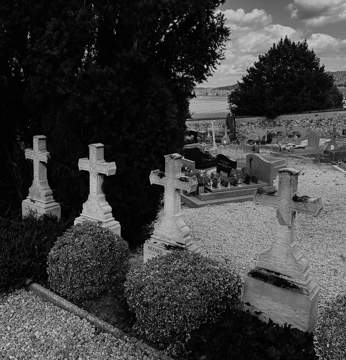 Hi from the cemetery 🪦 Have a nice weekend bats 🦇🖤 #thecemetarygirlz #deathrock #goth #gothic #frenchgoth #gothrock #cemetery #batcave #postpunk #darkwave #gothicrock