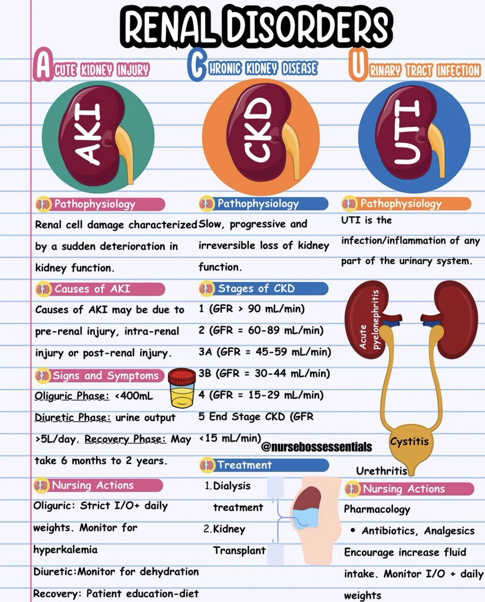 💢 ملخص لـ أمراض الكلى 

👈🏼 AKI
👈🏼 CKD
👈🏼 UTI