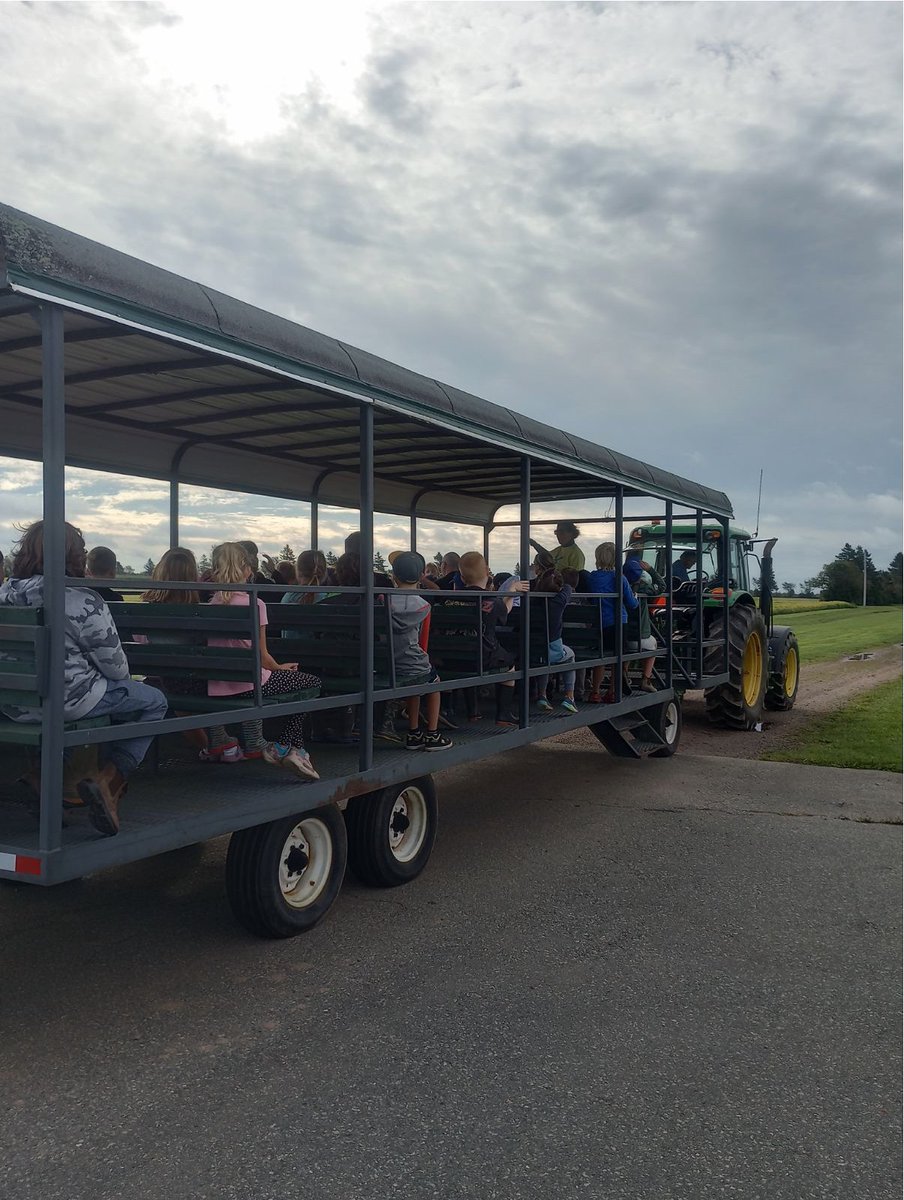 BrettvhAAFC's tweet photo. We kicked off #OpenFarmDay weekend with grade 3 student tours across #PEI including Craggan Farms 🐮 and @AAFC_Canada Harrington Research Farm🌱. I even met a friendly kitty named Stella! Learn more about Sunday's event: https://t.co/8Y44yKyvO3 https://t.co/PpKaOe4nZ1