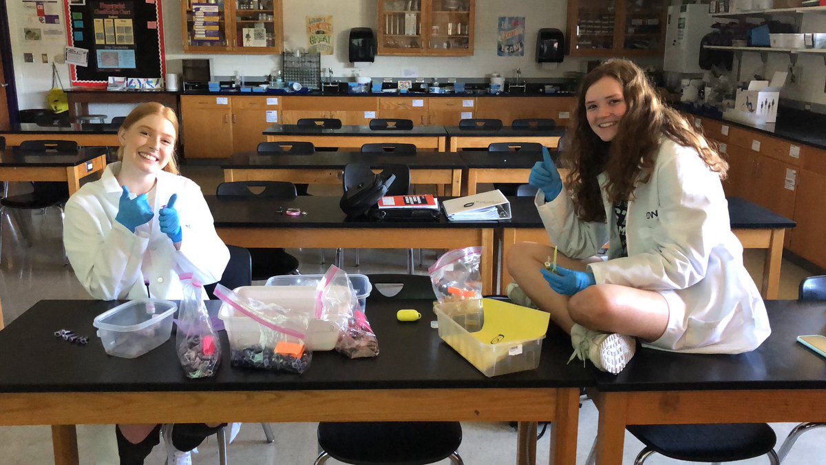 MrsPowellCCHS's tweet photo. These girls are the behind the scenes lab prep crew that keeps Biomed moving! There is an enormous amount of weekly lab prep. Your hard work doesn’t go unnoticed. #CamelPride #CCHSBMS https://t.co/5XFZVYABbx