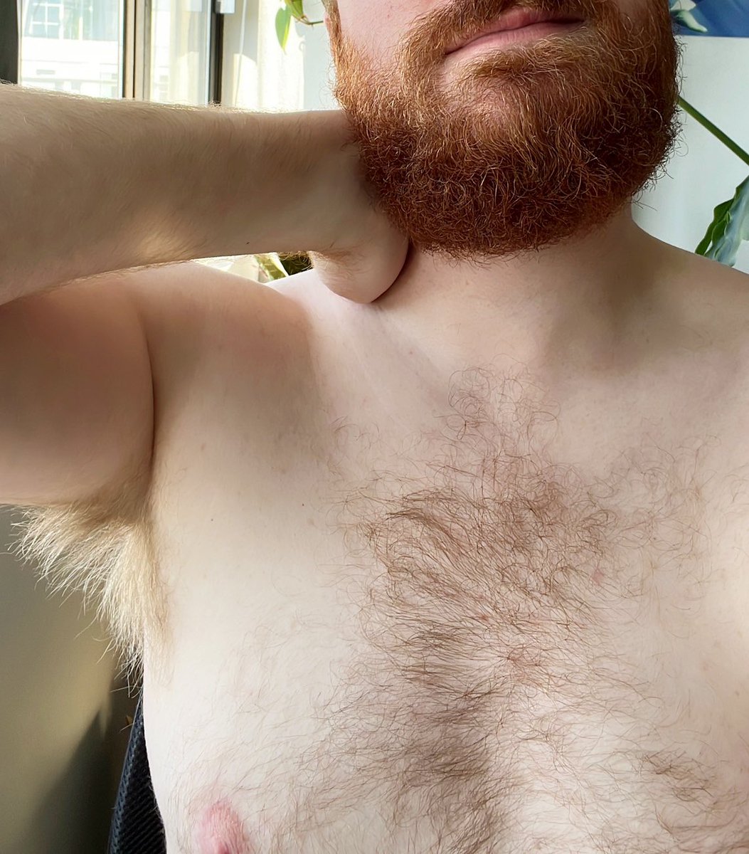 GingerShaft's tweet photo. I was told today my pit looked deliciously fluffy and ripe. I’m hoping you’ll agree 😉 And, as always, please feel free to give me a sniff…and lick 🐽😈🤤 #pits #gaypits #gingerpits #gayginger #nodeodorant #ripe #armpitfetish #maschalagnia #hairy https://t.co/OPWDGaI2kv