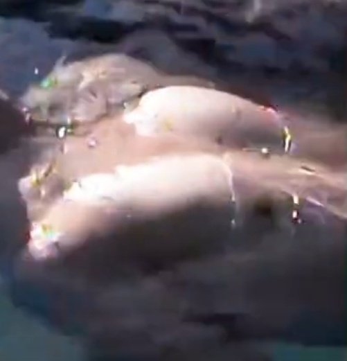 WE HAVE STRAYED SO FAR FROM THE PLOT SIR 😵‍💫✋️