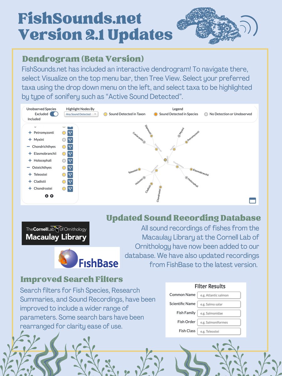 fishsoundsweb's tweet photo. Version 2.1 is out! ✨Head to https://t.co/AxI5Pm2FTi to check out the beta version of an interactive dendrogram (taxonomic tree)🌳. We have also included data from the @MacaulayLibrary,  updated @FishBaseProject data to the latest version, and improved search filters💻🐟🔊 https://t.co/h7VdgI4wfh