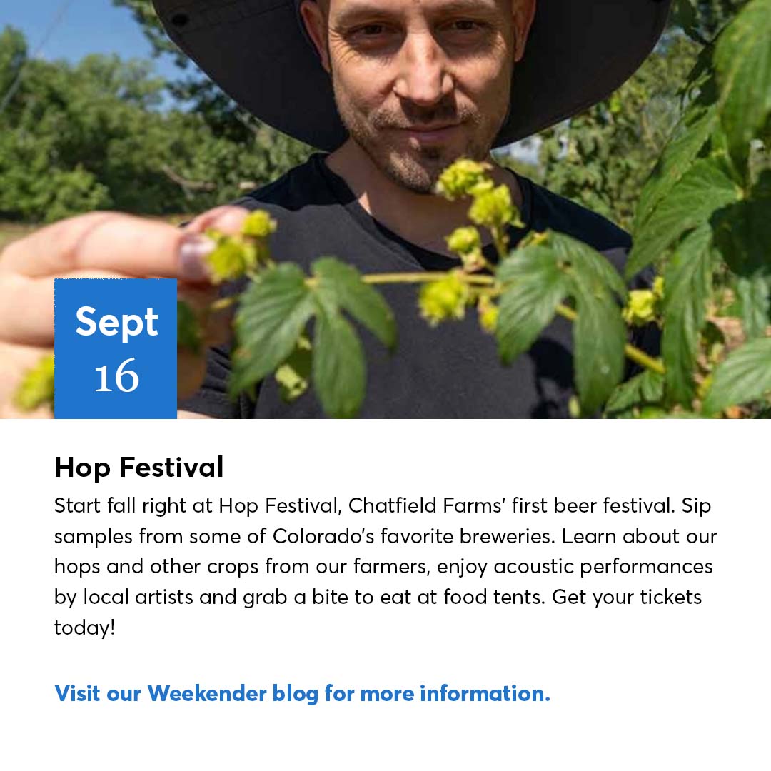 visitdenver's tweet photo. ✨Denver Weekend Events✨ Experience #DenverBeerWeek throughout Denver, Hop Festival at Chatfield Farms and more! Go to our weekender blog to learn more about Denver’s top featured events: https://t.co/ZnVF5wC1i9 https://t.co/OU00Om0vnH