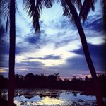 Photo by Darsh Kanda (@darshkanda)