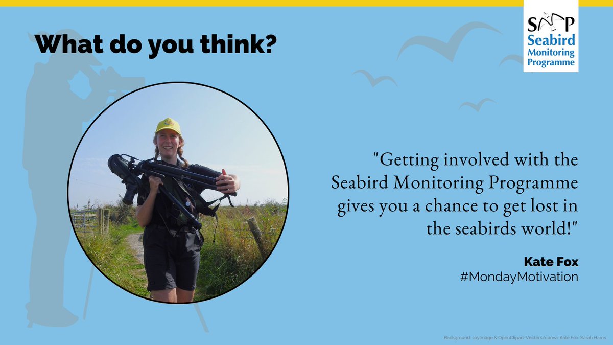 During visits to some spectacular places, @birdingfox has been lucky enough to assist with some seabird monitoring and shares her enjoyment of it for #MondayMotivation ⬇️

Find out more about the scheme at bto.org/smp

@_BTO @JNCC_UK @RSPBScience