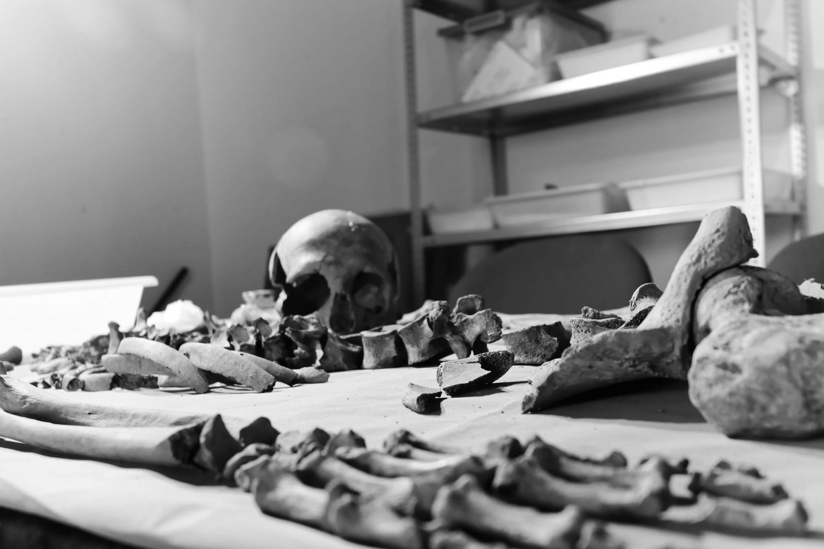 felixbizarro's tweet photo. Hoy terminan los trabajos de campo del Proyecto de Recuperación de la Memoria Histórica del Barranco de Víznar (Granada), por delante queda mucho trabajo de memorias y estudios de laboratorio. Aquí va un hilo🧵 https://t.co/HTxPTO5tXr
