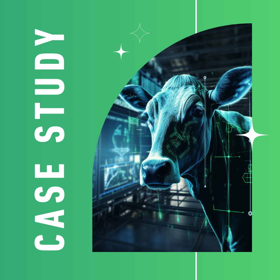 +416 heads (+16.6%) of pregnant cows in the herd thanks to Cyber Farm on our client's farm! 🚀

✅ Enhanced tech &amp; vet performance analysis
✅ Pinpointed abortion causes for quick decisions
✅ Effortless reports
📈 Increased pregnant cattle from 2085 to 2501 in 6 months (+5.8%)