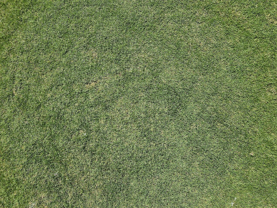 Field Source tweet media