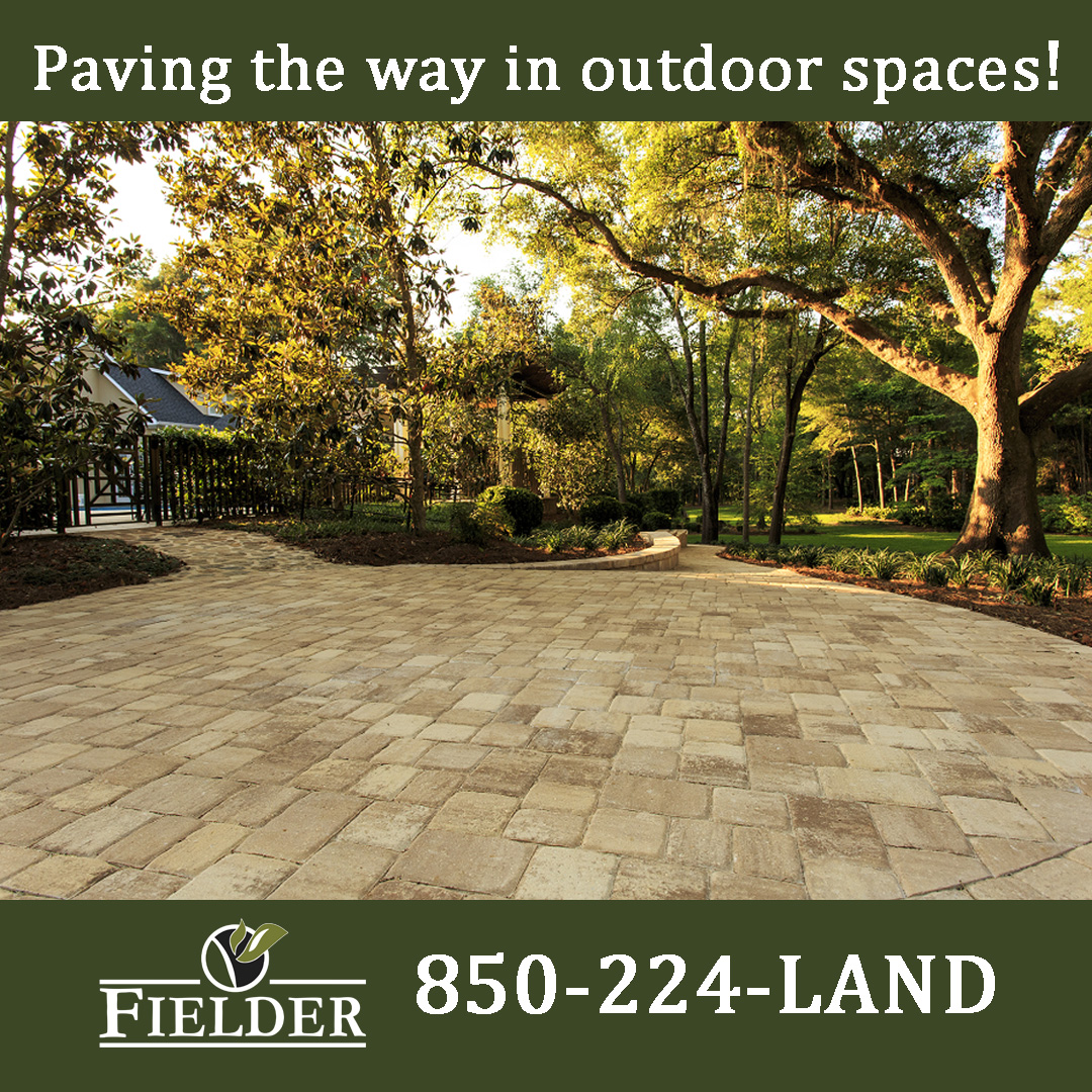 fielderandassoc's tweet image. Not sure where to begin to transform your outdoor space?
Our team of experts is ready to assist you! 😎

📲Call 850-224-LAND today to schedule your consultation!
#buildanddesign #outdoorliving #paverpatio #paverdesign #outdooroasis #tallahasseefl #oneteamonefamily