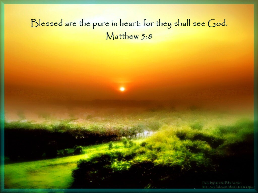 Good morning☕️☀️ “Blessed are the pure in heart: for they shall see God.” ~Matthew 5:8 Have a blessed day, and God bless America!❤️🤍💙 #GodWins #UltraMAGA