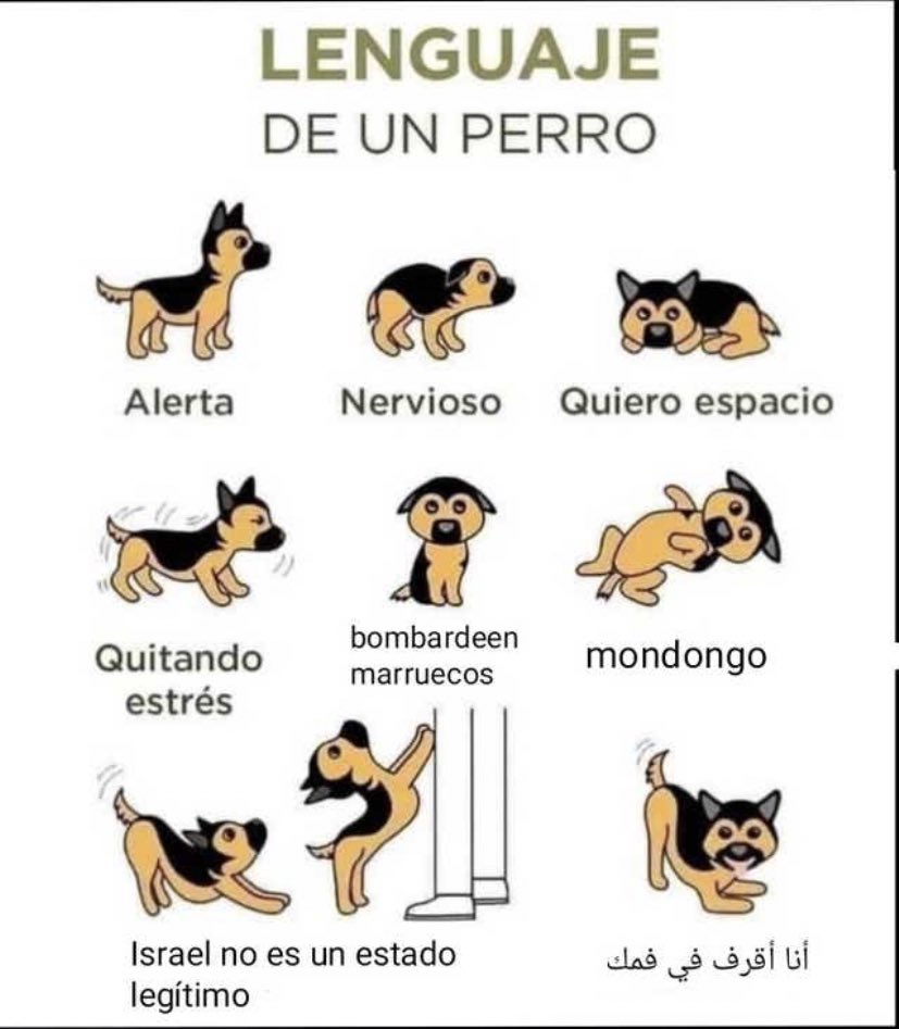 wikipistacho's tweet photo. https://t.co/PXSubcXPNL