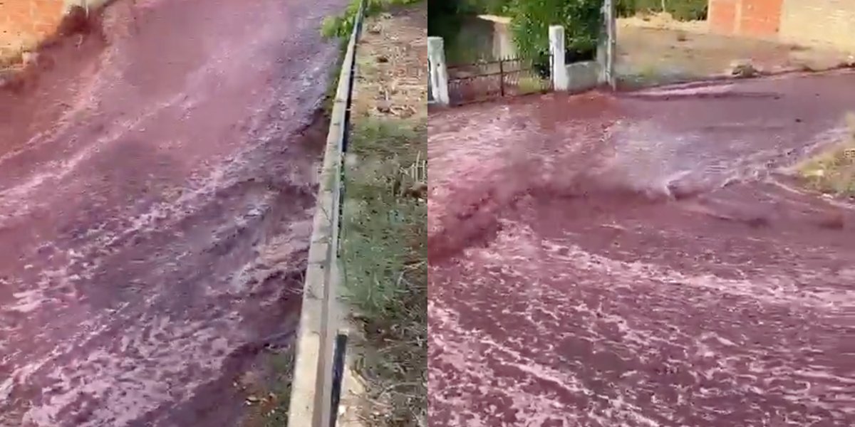 Happy Friday! Two tanks burst at a wine distillery in Portugal, leaving the streets flowing with red vino! Almost 600,000 gallons of wine! What a sight to see. loom.ly/3DTjn_Y