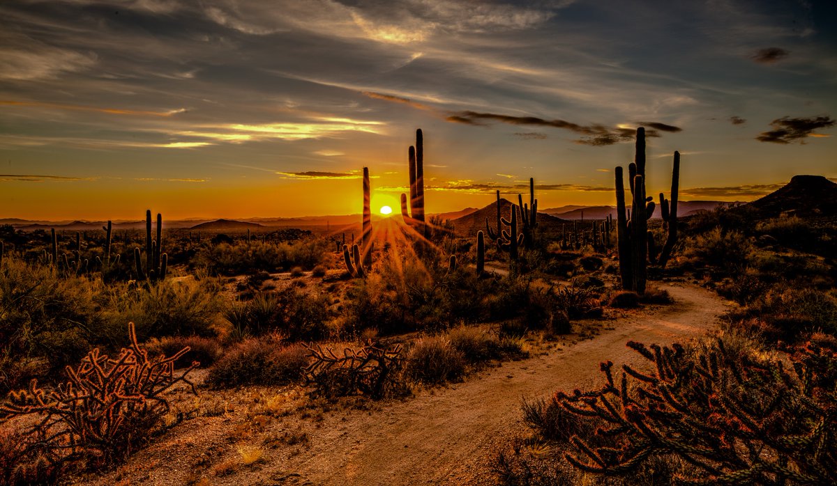 We've got Scottsdale on the mind! Early next year, our team will be on site there with a client. In the planning stages, we're identifying the perfect meeting place for their needs. #events #liveevents #memphiseventplanner #memphistn #eventplanner #eventproduction #corporateevent