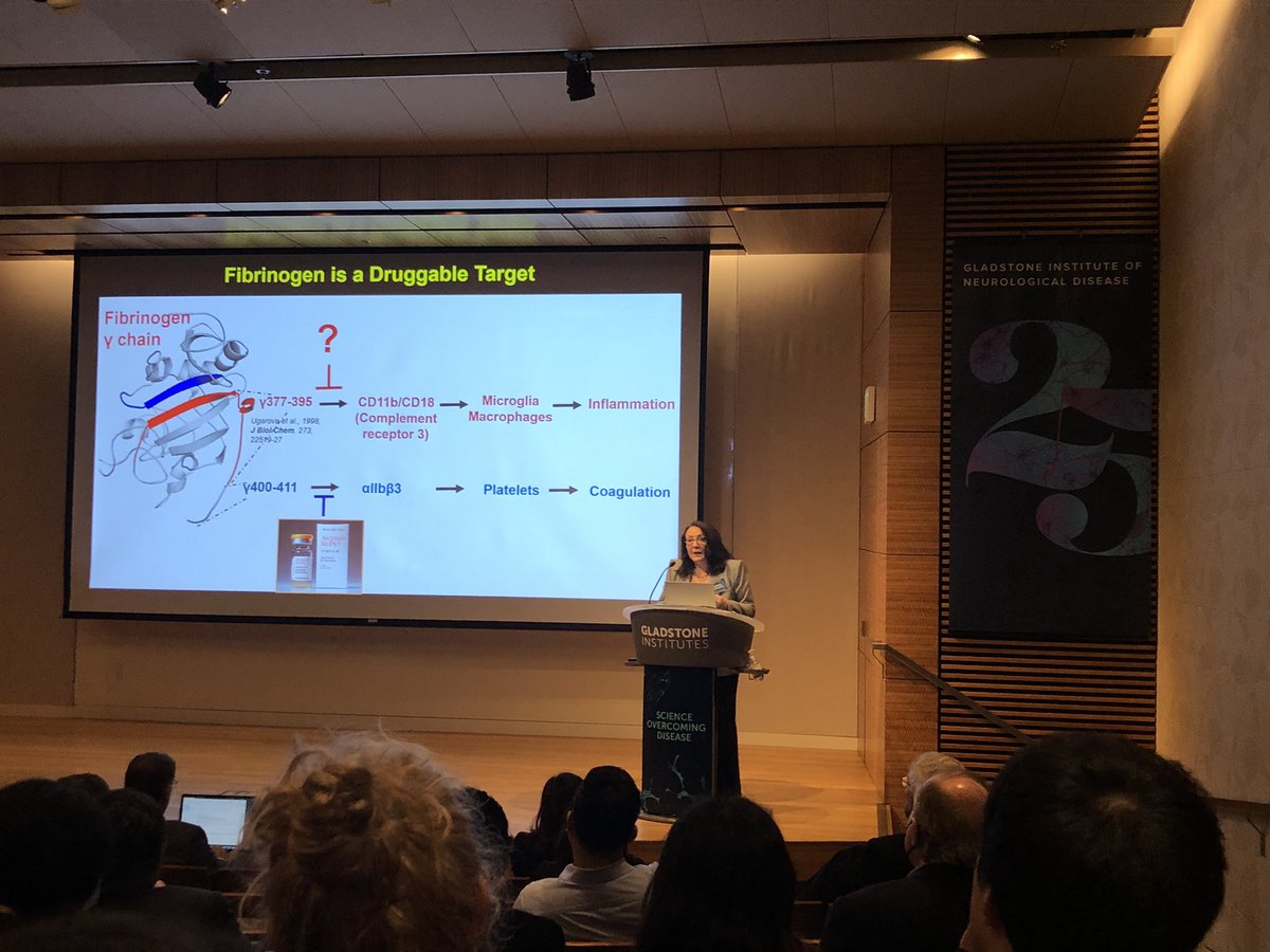 sudhakrish2's tweet photo. Truly enjoyed Katerina’s talk on learning the role of fibrin in BBB today at @GladstoneInst 25th anniversary of #GIND @AkassoglouLab https://t.co/Z1MiqLFi00