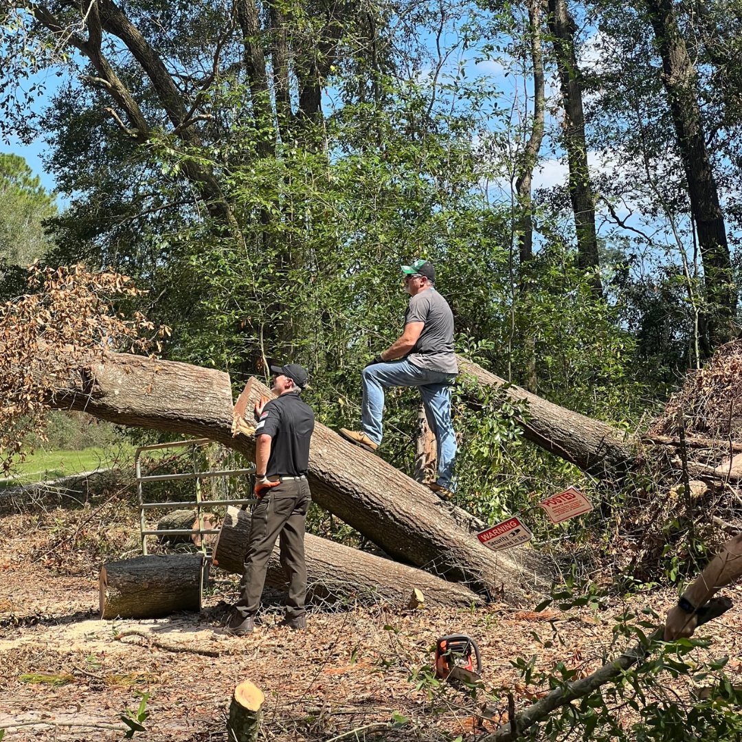STRUCTURE_CRE's tweet image. Our hearts are in Madison, FL! STRUCTURE Commercial Real Estate joined forces on Monday to make a difference in the aftermath of Hurricane Idalia. Together, we're making a positive impact, one step at a time.  #MadisonStrong #HurricaneRelief